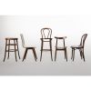 Fameg Walnut Cowhorn Side Chair (Pack of 2)
