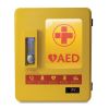 Automated External Defibrillator Alarmed Outdoor Heated Metal Cabinet