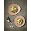 Churchill Stonecast Raw Terracotta Evolve Coupe Plate 220mm (Pack of 12)