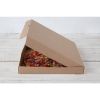 Fiesta Compostable Plain Pizza Boxes 14
