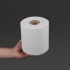 Jantex Centrefeed White Rolls 2-Ply 120m (Pack of 6)