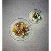 Churchill Isla Glass Clear Organic Glass Round Plates (Pack of 6)