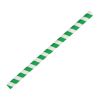 Fiesta Compostable Paper Smoothie Straws Green Stripes (Pack of 250)