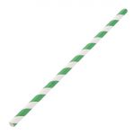 Fiesta Compostable Paper Straws Green Stripes (Pack of 250)