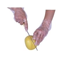Disposable Gloves & Aprons