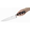 Deglon Sabatier Chef Knife 20.3cm