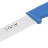 Hygiplas Paring Knife Blue 8.5cm