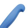 Hygiplas Chef Knife Blue 25cm