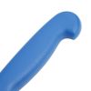 Hygiplas Fillet Knife Blue 16cm