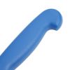 Hygiplas Fillet Knife Blue 15cm