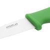 Hygiplas Serrated Vegetable Knife Green 10.5cm