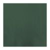 Fasana Lunch Napkin Green 33x33cm 2ply 1/4 Fold (1500 Pack)