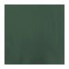 Fasana Lunch Napkin Green 33x33cm 2ply 1/4 Fold (Pack of 1500)