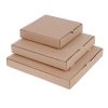 Fiesta Compostable Plain Pizza Boxes 12