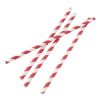 Fiesta Compostable Paper Straws Red Stripes (Pack of 250)