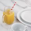 Fiesta Compostable Paper Straws Red Stripes (250 Pack)