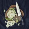 Dick Premier Plus Chef Knife 21.6cm