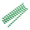 Fiesta Compostable Paper Smoothie Straws Green Stripes (Pack of 250)