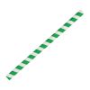 Fiesta Compostable Paper Smoothie Straws Green Stripes (250 Pack)