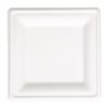 Fiesta Compostable Bagasse Square Plates (Pack of 50)
