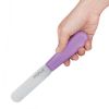 Hygiplas Palette Knife Purple - 4