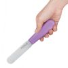 Hygiplas Palette Knife Purple 10cm