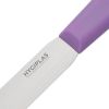 Hygiplas Palette Knife Purple 10cm
