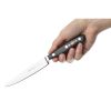 Dick Premier Plus 2-Piece Knife Gift Set