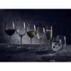 FT Syrah Wine Glass 25cl/8.8oz - Pack of 6