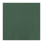 Fasana Dinner Napkin Green 40x40cm 3ply 1/4 Fold (Pack of 1000)