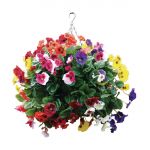 22" Mixed Colours Pansy Ball