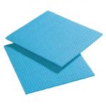 Spontex Spongyl Blue (10 Pack)