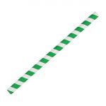 Fiesta Compostable Paper Smoothie Straws Green Stripes (250 Pack)