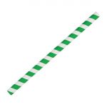 Fiesta Compostable Paper Smoothie Straws Green Stripes (Pack of 250)