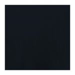 Fasana Lunch Napkin Black 33x33cm 2ply 1/4 Fold (Pack of 1500)