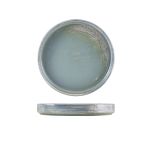 Terra Porcelain Seafoam Presentation Plate 18cm - Pack of 6