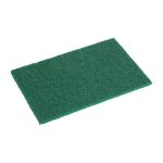 Jantex Scouring Pads - Green (Pack of 10)