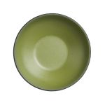 Steelite Baja Cactus Shallow Bowls 127mm (24 Pack)