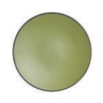 Steelite Baja Cactus Round Plates 229mm (24 Pack)