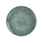 Stellar Coupe Plate 17cm/6½"