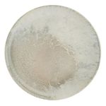 Surf Coupe Plate 30cm / 11 ¾"