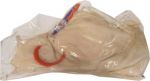 Danish Natural Hog Casing
