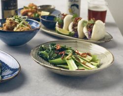 Terra Porcelain Grey Organic Coupe Bowl 21cm - Pack of 6