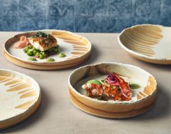 Roko Porcelain Sand Presentation Bowl 20.5cm - Pack of 4