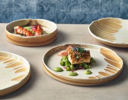 Roko Porcelain Sand Presentation Plate 26cm - Pack of 4