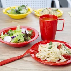 Olympia Kristallon Polypropylene Plates Red 230mm (12 pack)