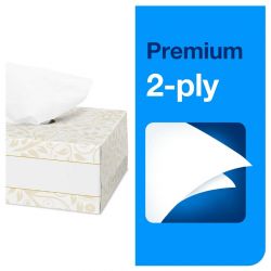 Tork Premium Extra Soft Facial Tissues 2ply (30x100) (Pack of 30)