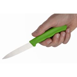Victorinox Serrated Paring Knife Green 8.1cm