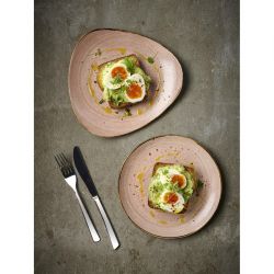 Churchill Stonecast Raw Terracotta Evolve Coupe Plate 286mm (12 Pack)