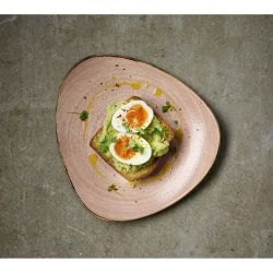 Churchill Stonecast Raw Terracotta Lotus Plate 254mm (12 Pack)